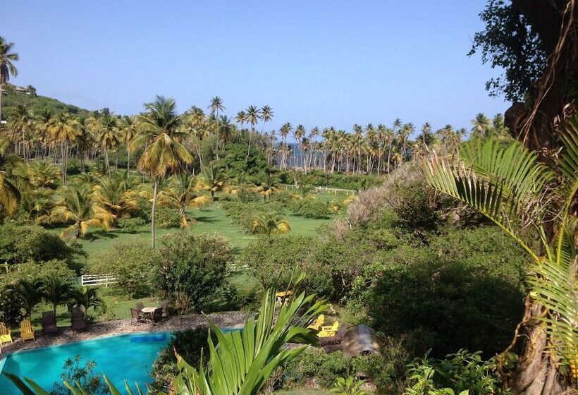 בית מלון כפרי Firefly Estate Bequia