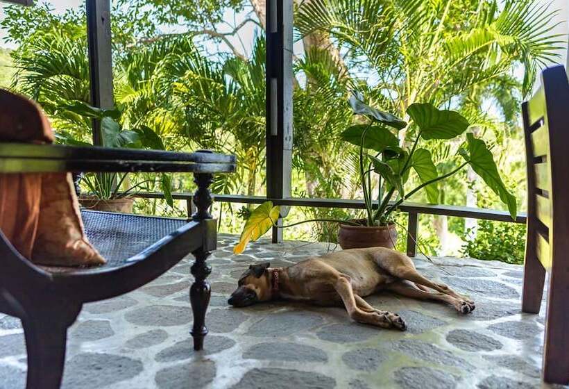 בית מלון כפרי Firefly Estate Bequia