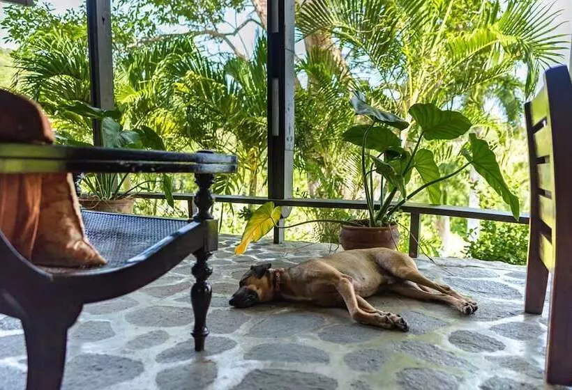 בית מלון כפרי Firefly Estate Bequia