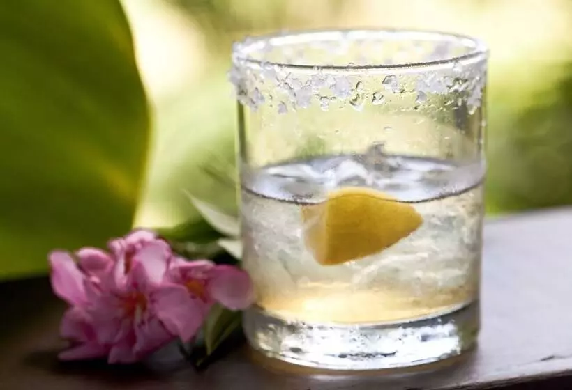 בית מלון כפרי Firefly Estate Bequia