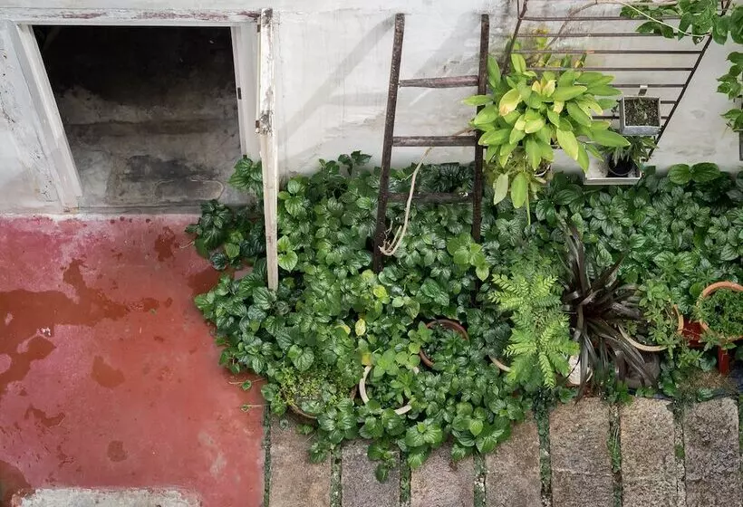 ホテル Ren I Tang