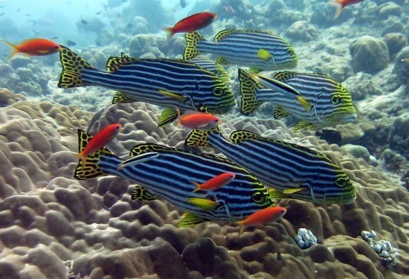 هتل Rivethi Beach