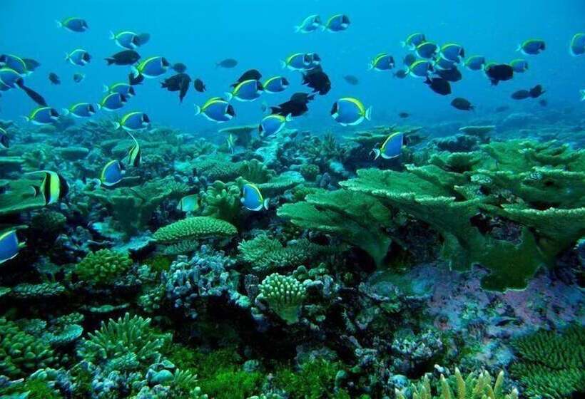 هتل Rivethi Beach