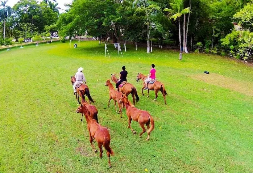 فندق Spa Taninul