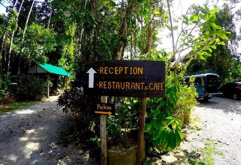 Khao Sok Morning Mist Resort