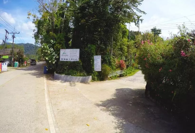 Khao Sok Morning Mist Resort