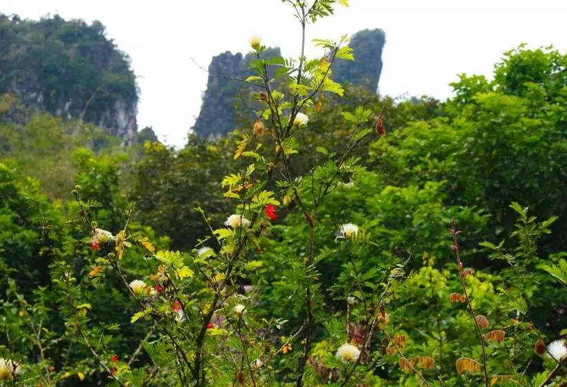 Khao Sok Morning Mist Resort