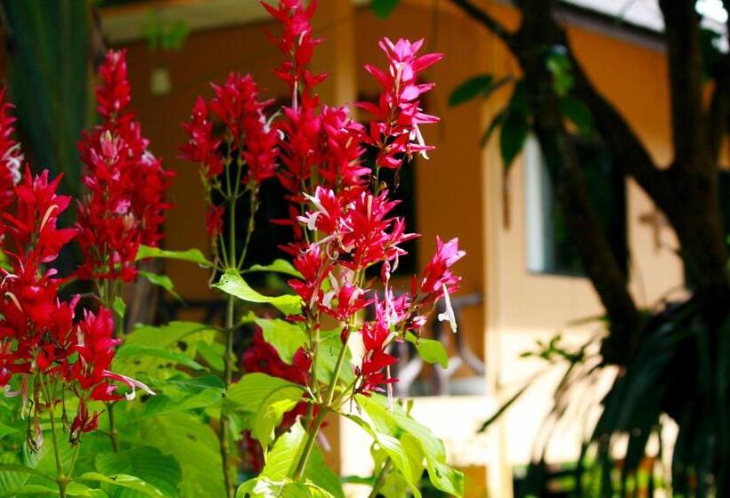 Khao Sok Morning Mist Resort