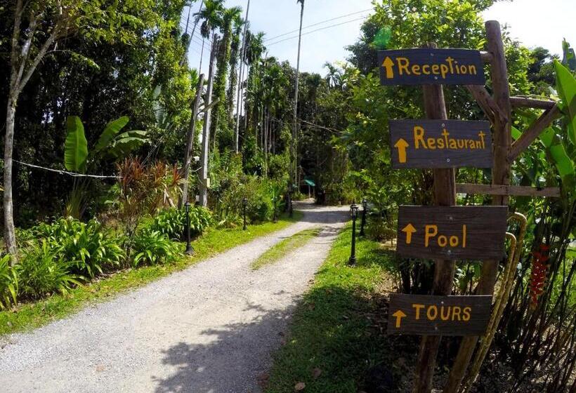 Khao Sok Morning Mist Resort