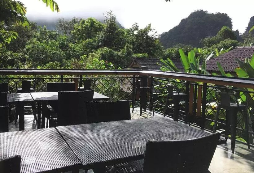 Khao Sok Morning Mist Resort