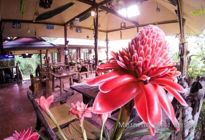 Khao Sok Morning Mist Resort