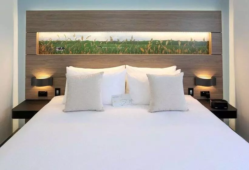 Novotel New Plymouth Taranaki