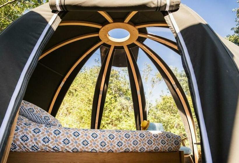 פנסיון Bulles D Olive   Bulle Provence