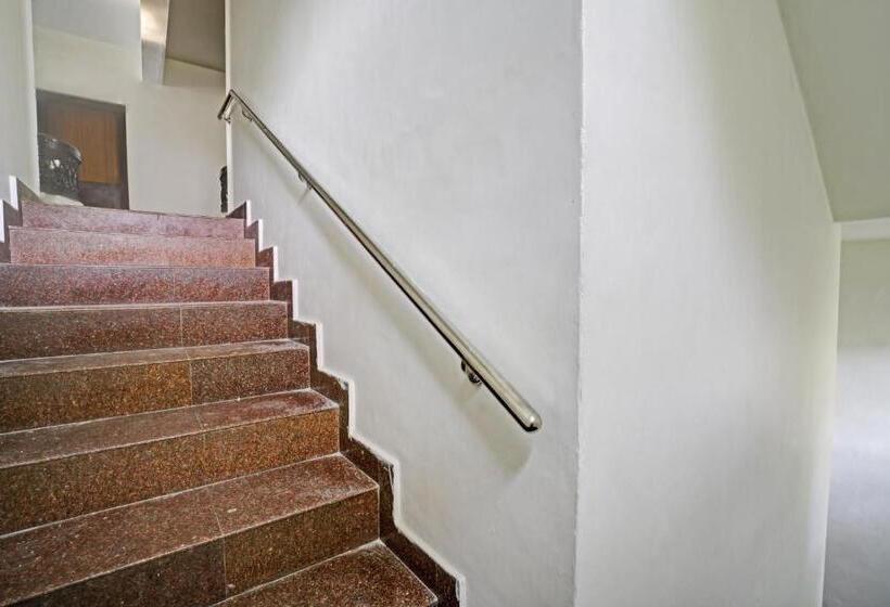 Hotel Oyo Flagship 81130 Palm Stay