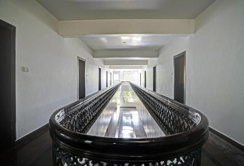 Hotel Oyo Flagship 81130 Palm Stay