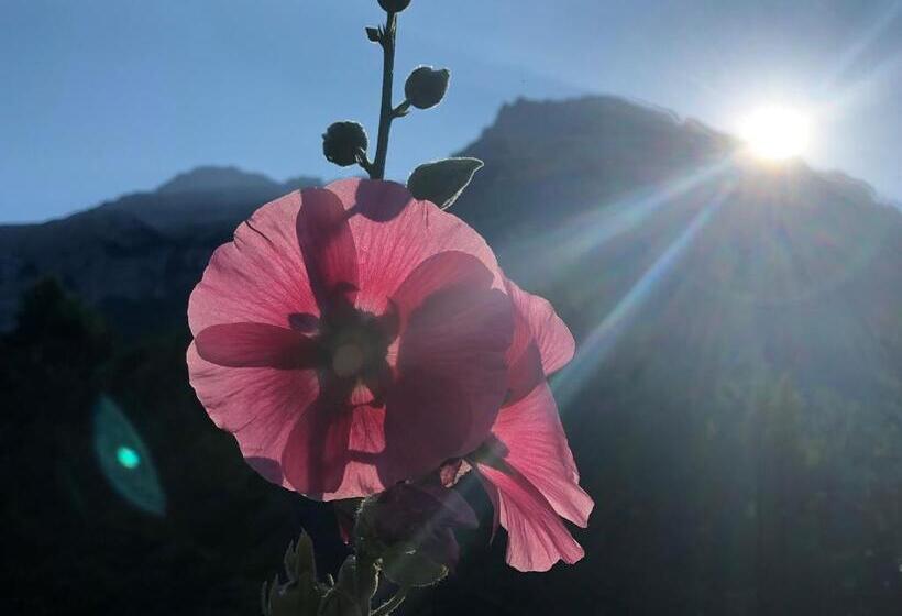 Pensiune Cold Springs