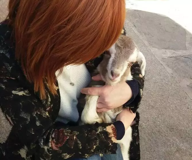 Aamiaismajoitus (B&B) Alice Nel Paese Delle Meraviglie