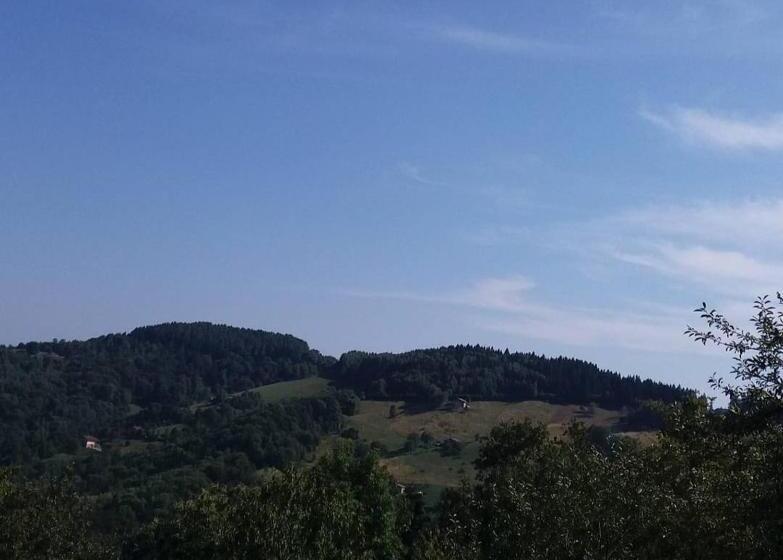 住宿加早餐 Alice Nel Paese Delle Meraviglie