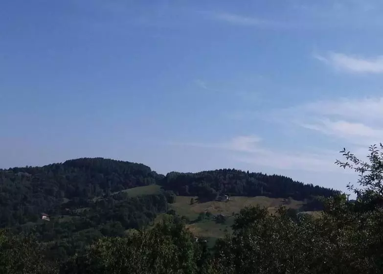 Aamiaismajoitus (B&B) Alice Nel Paese Delle Meraviglie