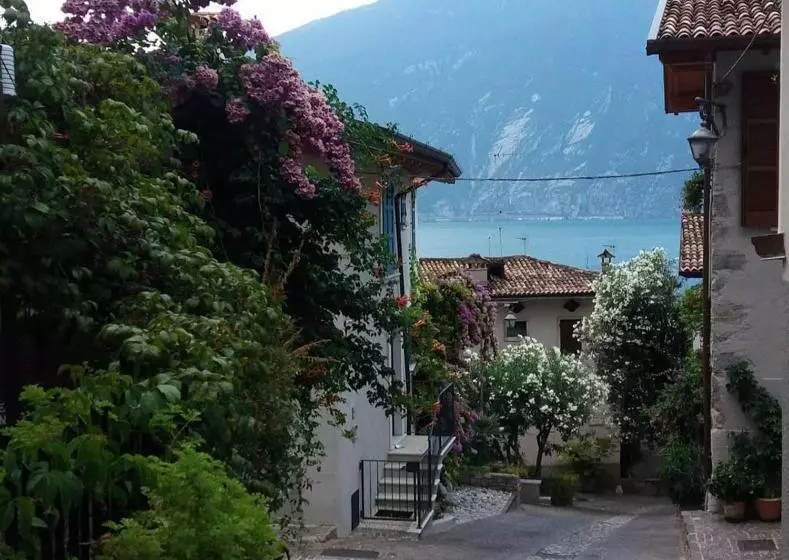 Aamiaismajoitus (B&B) Alice Nel Paese Delle Meraviglie