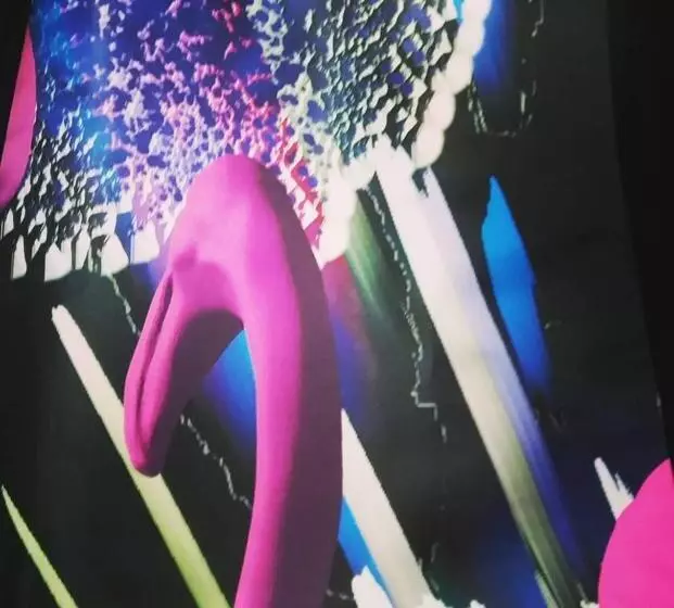 Aamiaismajoitus (B&B) Alice Nel Paese Delle Meraviglie