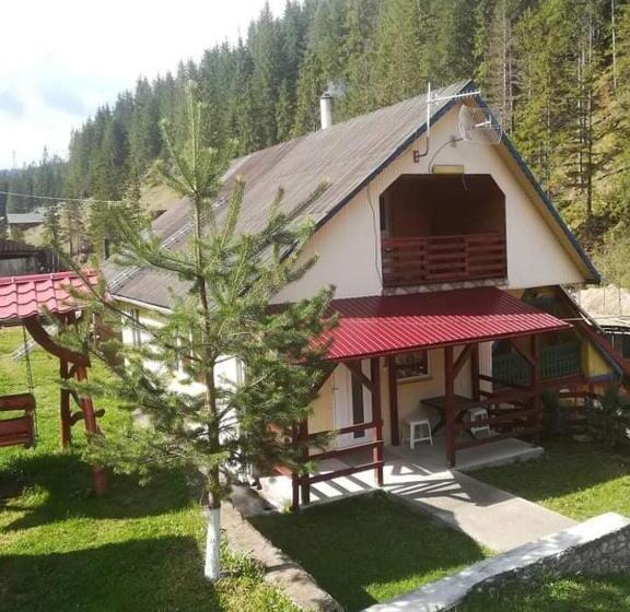 Pensiune Cristina Lacu Rosu