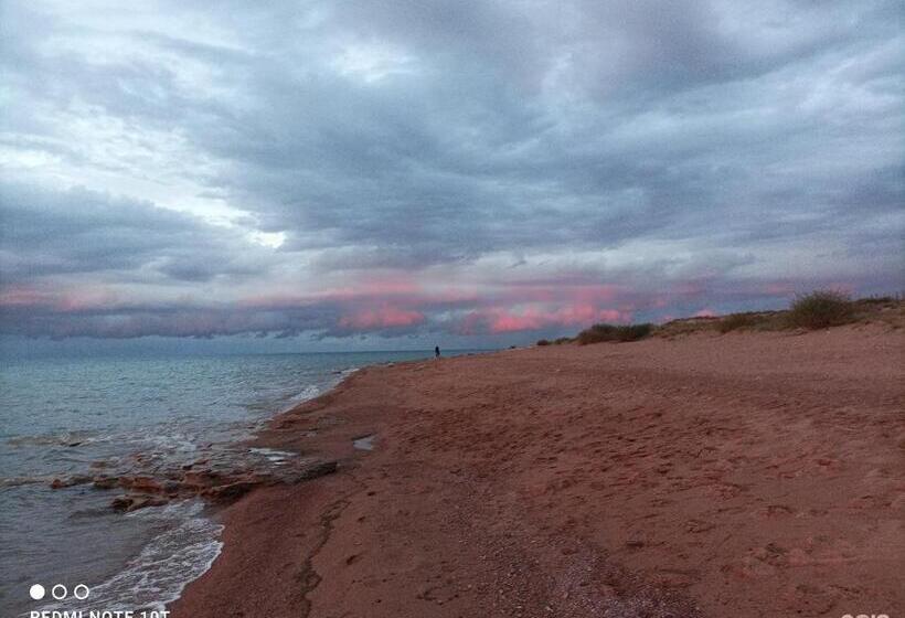 پانسیون Anar Guest House