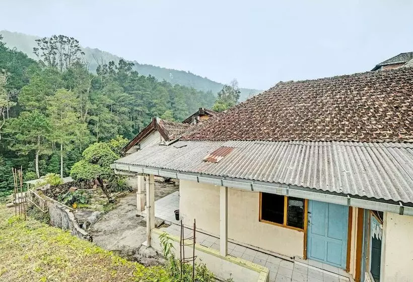 Spot On 92414 Hotel Pereng Sari