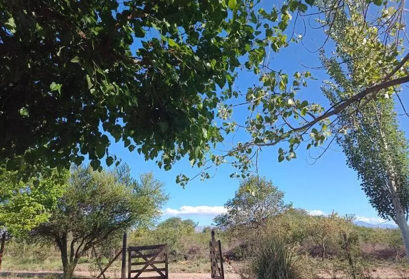 ユースホステル Tu Lugar