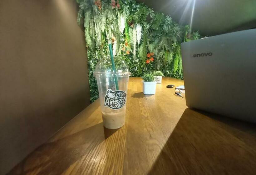 هاستل Queens Hotel Mountain View