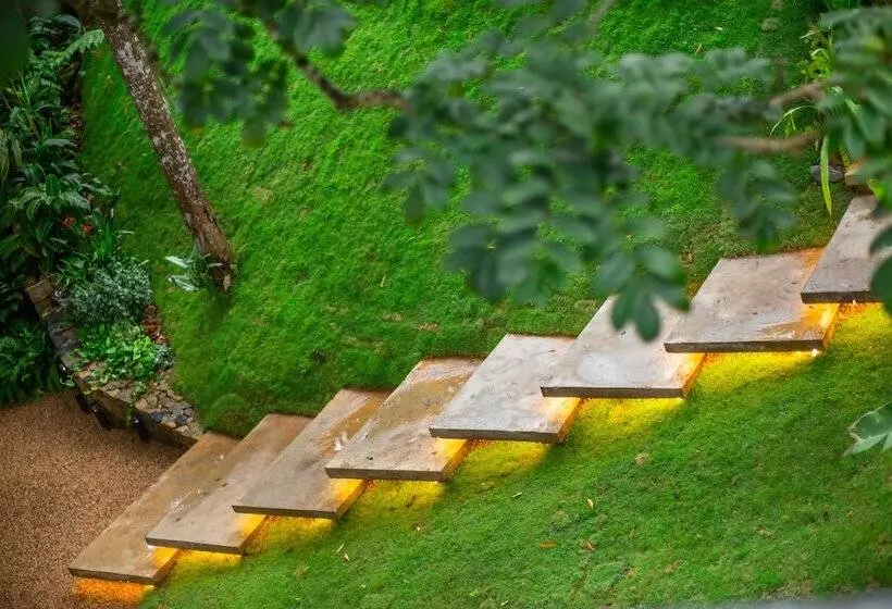 Majatalo Namara Green Ella