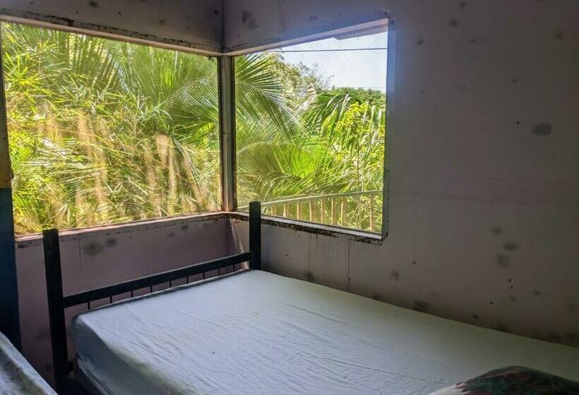 هاستل Ecobosque El Mar