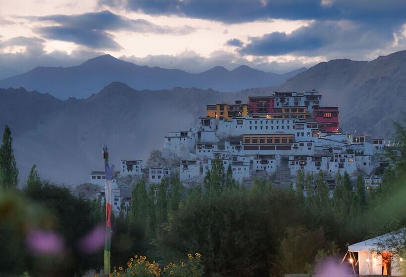 هتل Chamba Camp Thiksey By Tutc