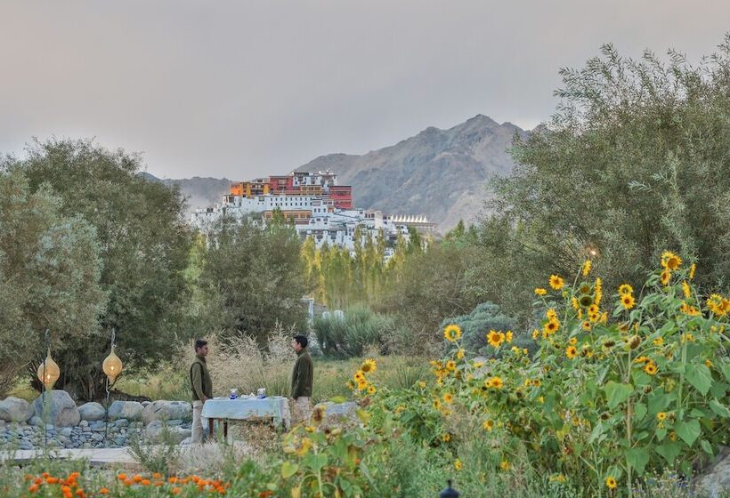 هتل Chamba Camp Thiksey By Tutc