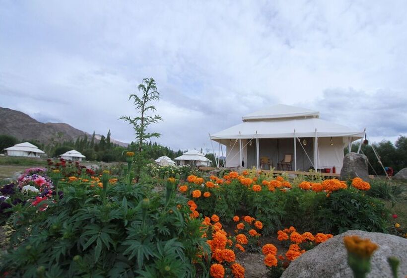 هتل Chamba Camp Thiksey By Tutc