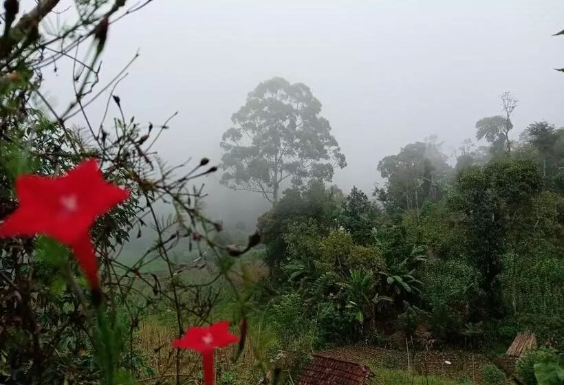 ペンション Ella Gama Village Guest House