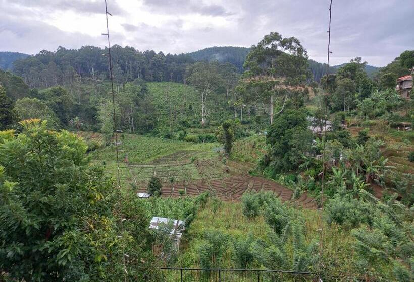 פנסיון Ella Gama Village Guest House