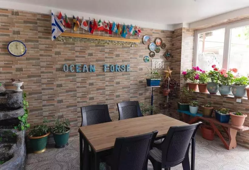 پانسیون Guest House Ocean Force