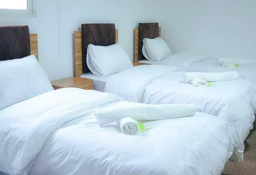 Petra Wow Hostel
