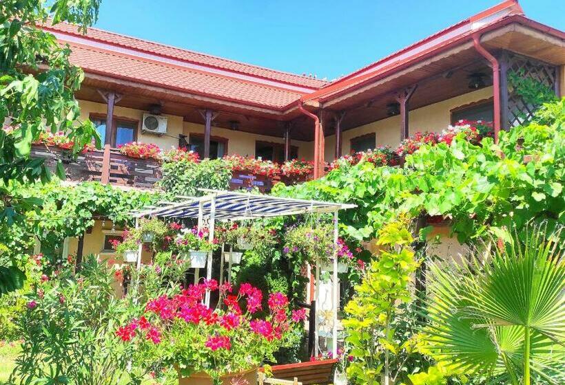 호스텔 Pensiunea Roșu Litoral