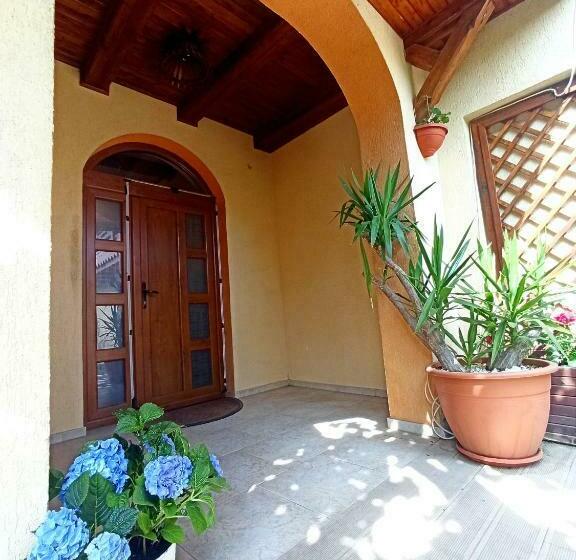 호스텔 Pensiunea Roșu Litoral