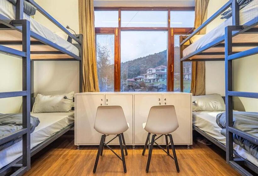 Albergue The Trippy Tribe Extended