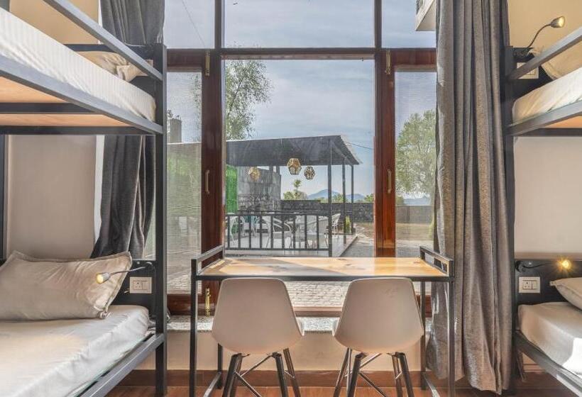 Albergue The Trippy Tribe Extended