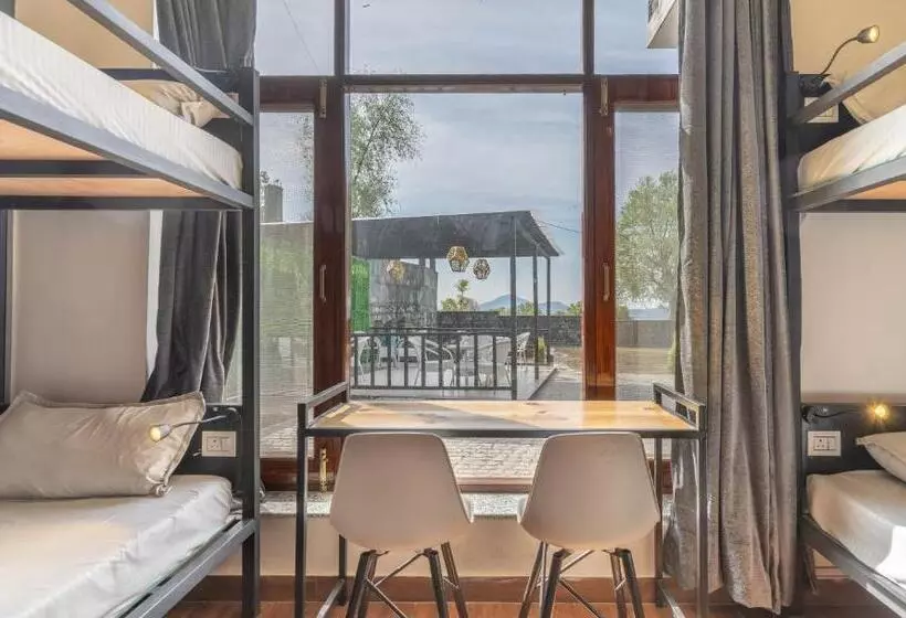 ユースホステル The Trippy Tribe Extended