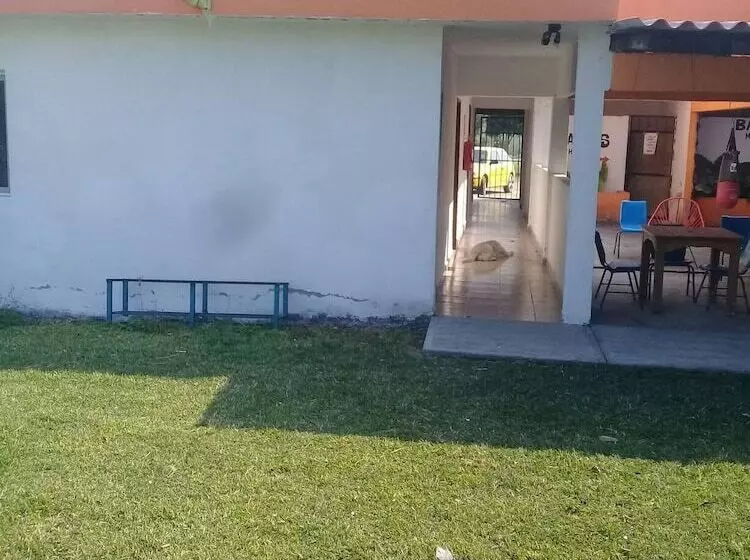 Majatalo Room In Guest Room   Hospedaje Familiar Op2