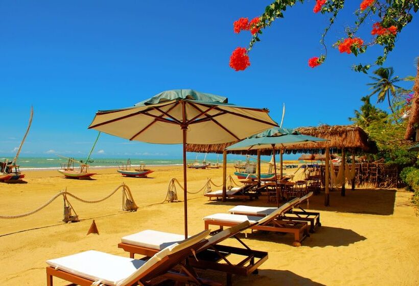 בית מלון כפרי Dayo