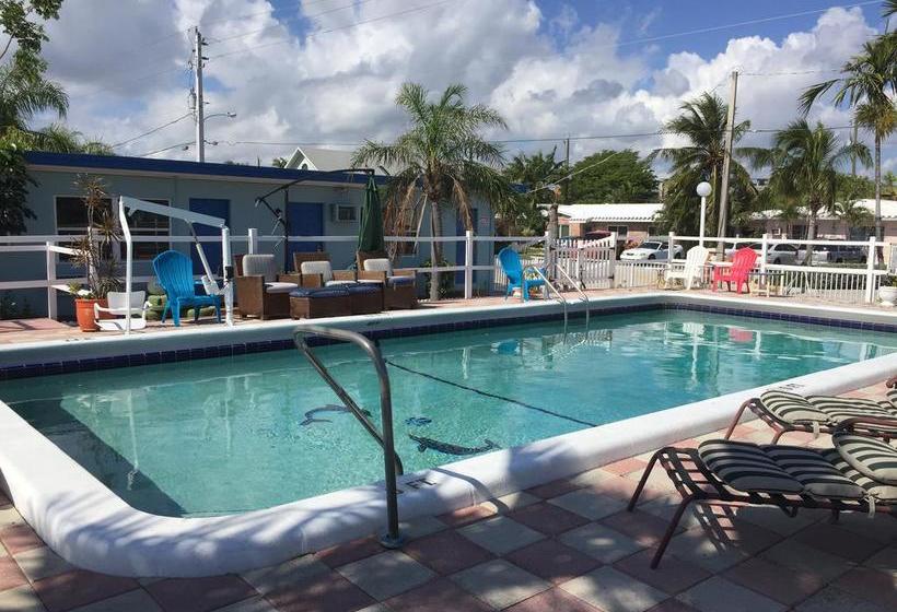 فندق Dolphin Harbor Inn