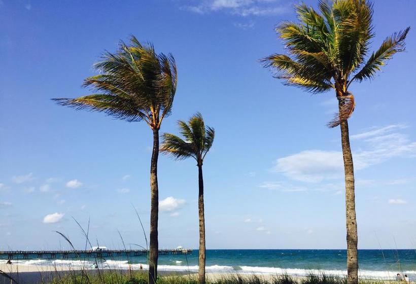 فندق Dolphin Harbor Inn