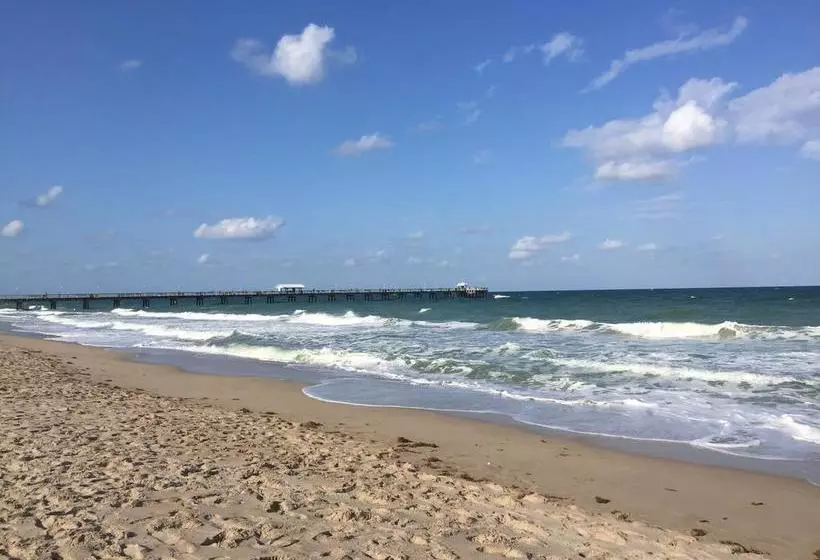 ホテル Dolphin Harbor Inn
