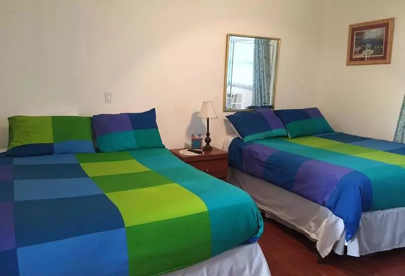 ホテル Dolphin Harbor Inn